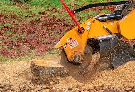Soil Testing and Treatment in Pecan Grove, TX