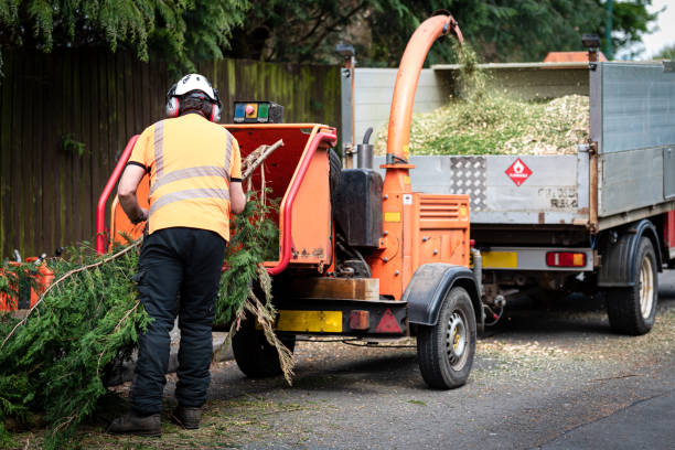Best Lawn Irrigation Installation and Maintenance  in Pecan Grove, TX